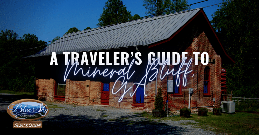 Cabins For Sale In Mineral Bluff Ga